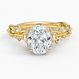 Secret Garden Diamond Ring (1/2 ct. tw.)