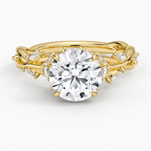 Rings - Image 1